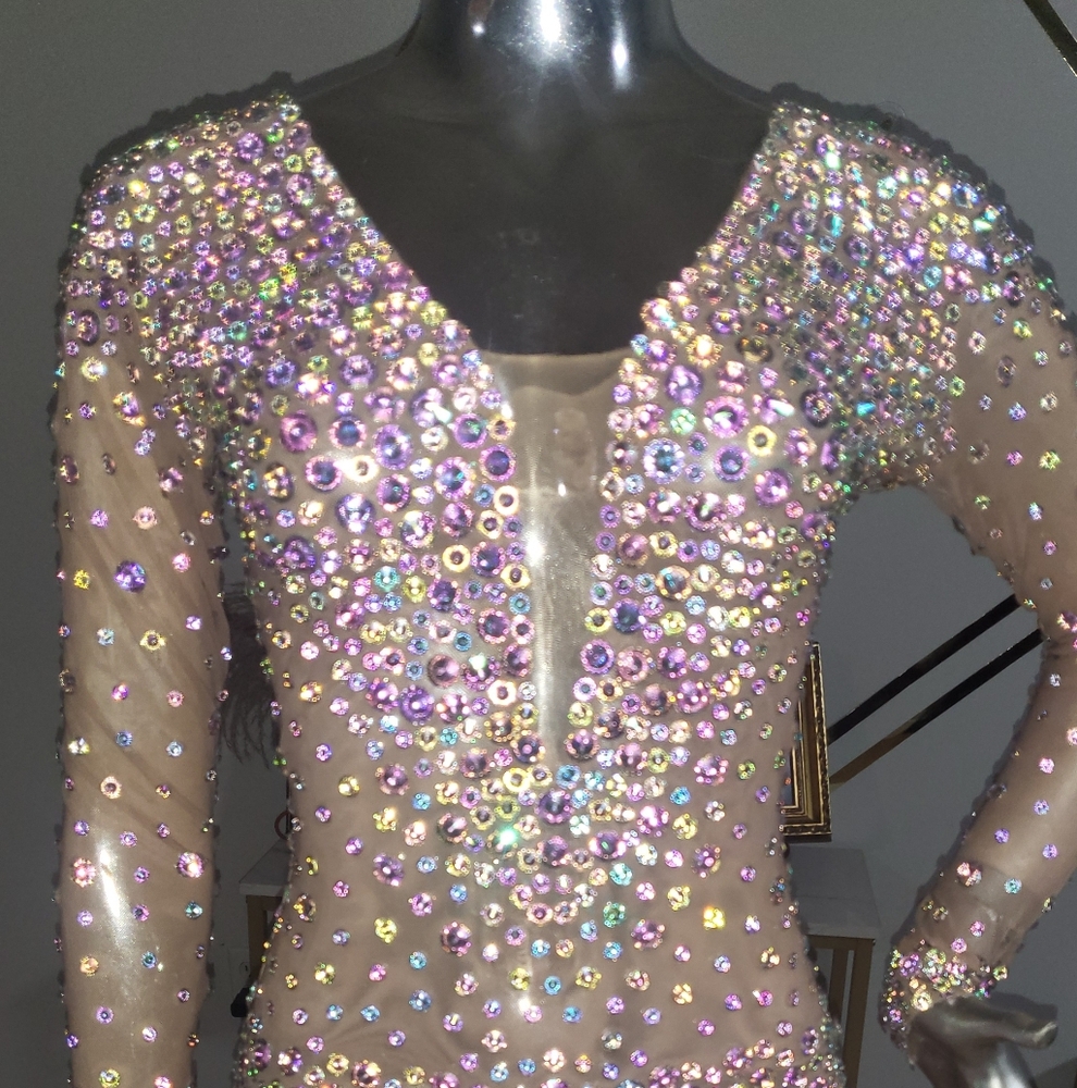Dazzling Crystal Embellished Long Sleeve Dress